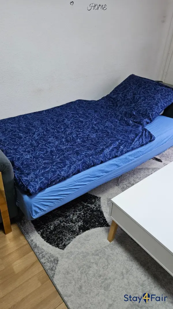 studio apartment with sofa bed near Hannover exhibition center