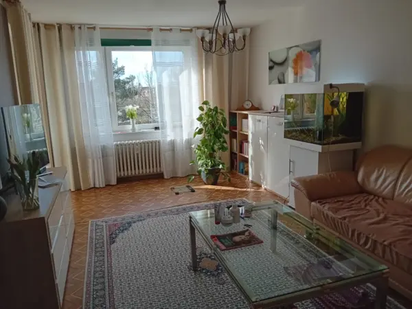 living room with sofa apartment near Hannover Messe tram connection